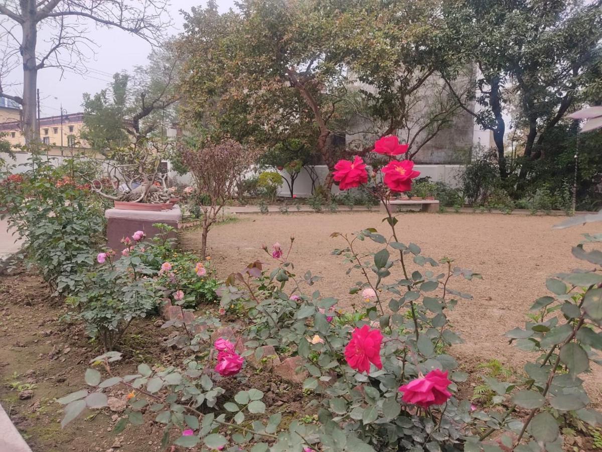 Vatika Homestay Varanasi Dış mekan fotoğraf