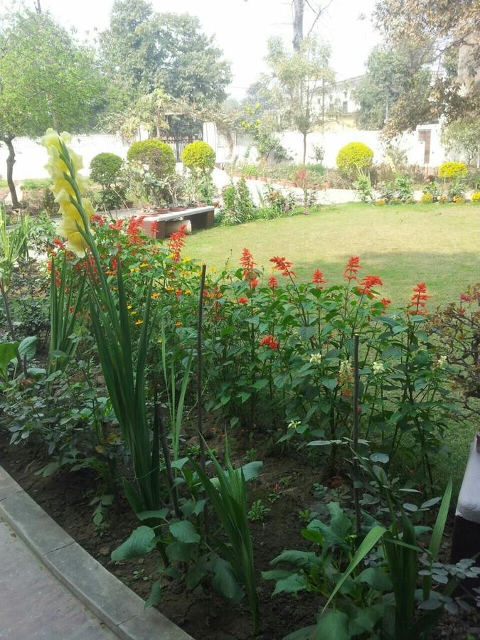 Vatika Homestay Varanasi Dış mekan fotoğraf