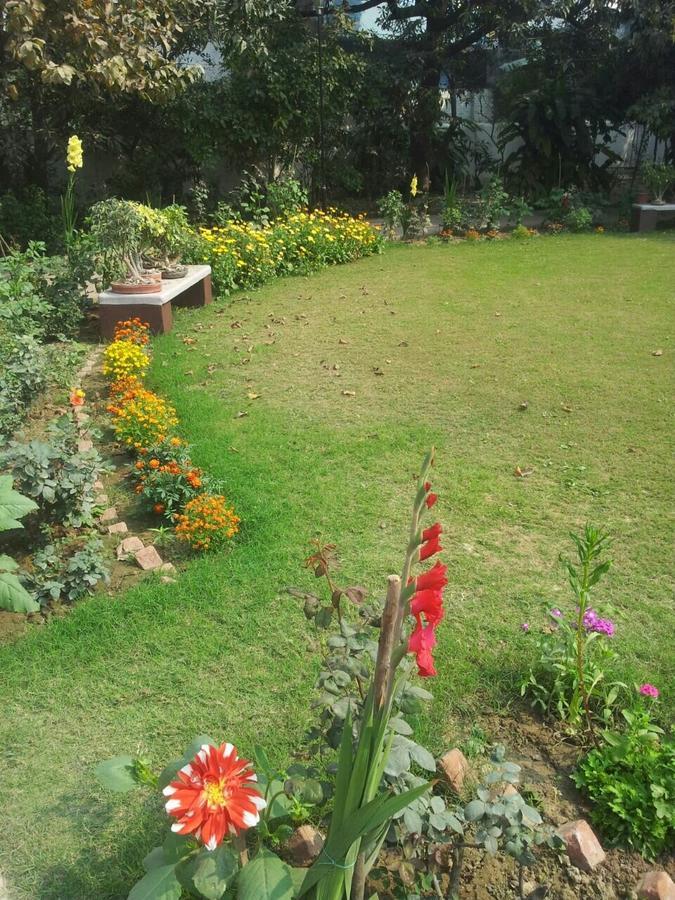 Vatika Homestay Varanasi Dış mekan fotoğraf